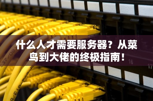 什么人才需要服务器？从菜鸟到大佬的终极指南！