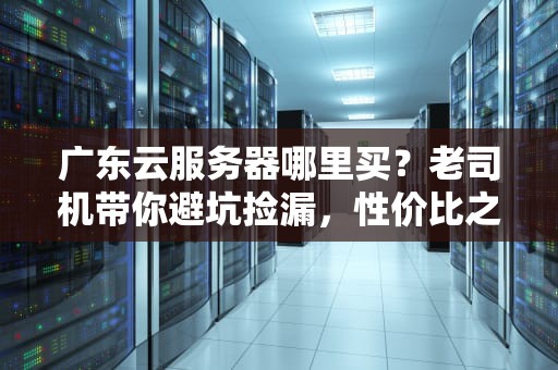 广东云服务器哪里买？老司机带你避坑捡漏，性价比之王在这里！
