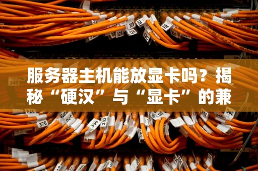 服务器主机能放显卡吗？揭秘“硬汉”与“显卡”的兼容性秘密！