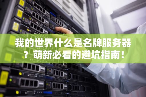 我的世界什么是名牌服务器？萌新必看的避坑指南！
