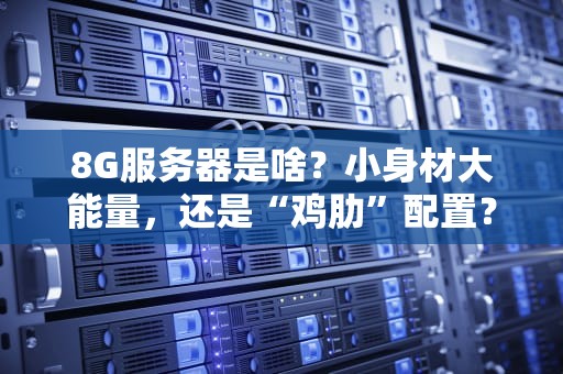 8G服务器是啥？小身材大能量，还是“鸡肋”配置？一文看懂真相！