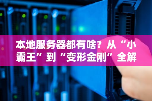 本地服务器都有啥？从“小霸王”到“变形金刚”全解析！