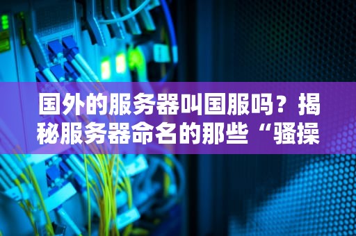 国外的服务器叫国服吗？揭秘服务器命名的那些“骚操作”