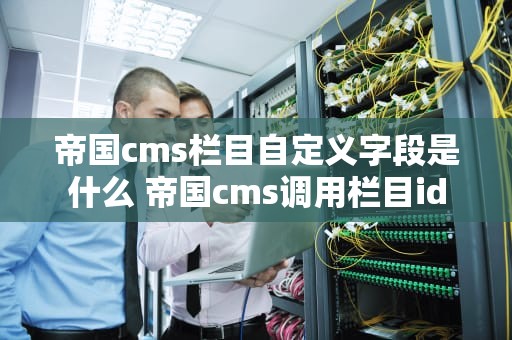 帝国cms栏目自定义字段是什么 帝国cms调用栏目id