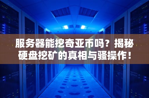 服务器能挖奇亚币吗？揭秘硬盘挖矿的真相与骚操作！