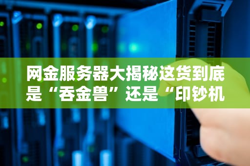 网金服务器大揭秘这货到底是“吞金兽”还是“印钞机”？专业测评+逗比解析！