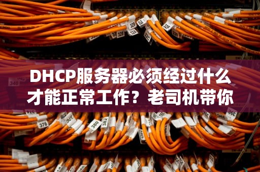 DHCP服务器必须经过什么才能正常工作？老司机带你避坑不翻车！