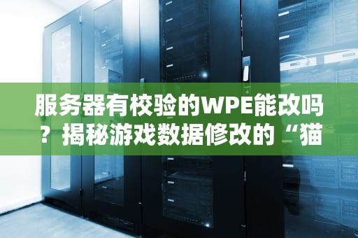 服务器有校验的WPE能改吗？揭秘游戏数据修改的“猫鼠游戏”！