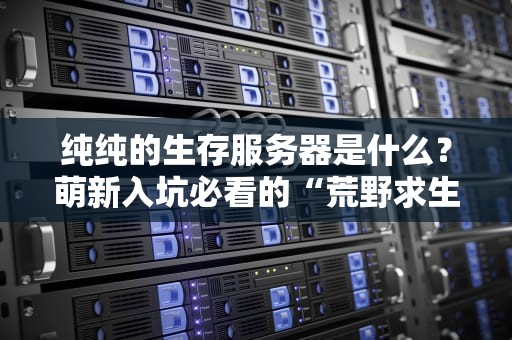 纯纯的生存服务器是什么？萌新入坑必看的“荒野求生”指南！