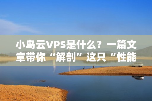 小鸟云VPS是什么？一篇文章带你“解剖”这只“性能小鸟”！