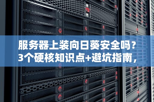 服务器上装向日葵安全吗？3个硬核知识点+避坑指南，看完秒懂！