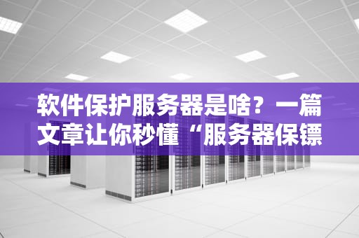 软件保护服务器是啥？一篇文章让你秒懂“服务器保镖”的硬核操作！