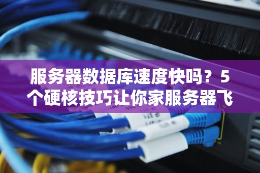 服务器数据库速度快吗？5个硬核技巧让你家服务器飞起来！