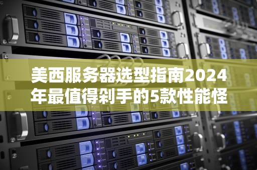 美西服务器选型指南2024年最值得剁手的5款性能怪兽！