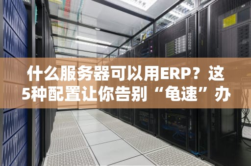 什么服务器可以用ERP？这5种配置让你告别“龟速”办公！