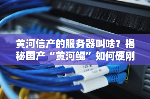 黄河信产的服务器叫啥？揭秘国产“黄河鲲”如何硬刚国际大厂！