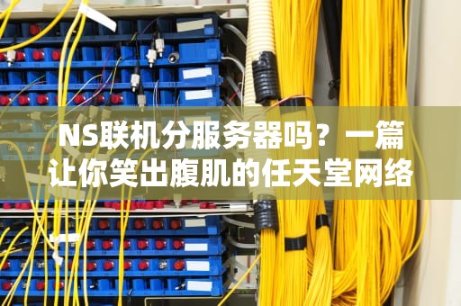 NS联机分服务器吗？一篇让你笑出腹肌的任天堂网络科普！