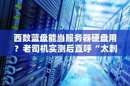 西数蓝盘能当服务器硬盘用？老司机实测后直呼“太刺激”！