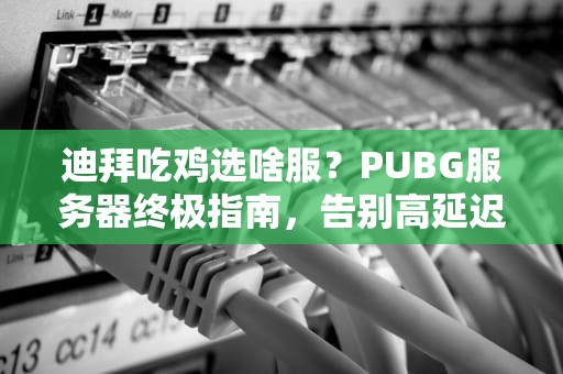迪拜吃鸡选啥服？PUBG服务器终极指南，告别高延迟成盒！