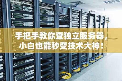 手把手教你查独立服务器，小白也能秒变技术大神！