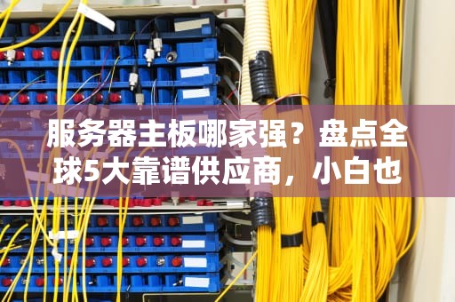 服务器主板哪家强？盘点全球5大靠谱供应商，小白也能看懂！