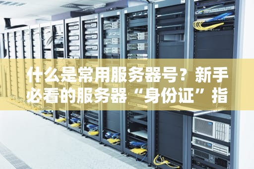 什么是常用服务器号？新手必看的服务器“身份证”指南！