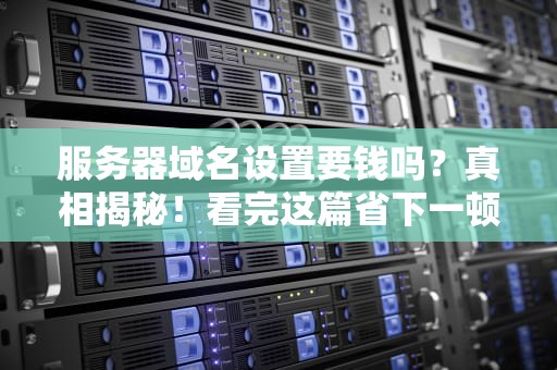服务器域名设置要钱吗？真相揭秘！看完这篇省下一顿火锅钱！