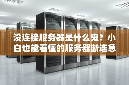 没连接服务器是什么鬼？小白也能看懂的服务器断连急救指南！