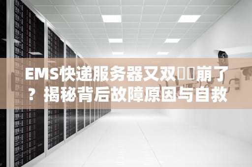 EMS快递服务器又双叒叕崩了？揭秘背后故障原因与自救指南！