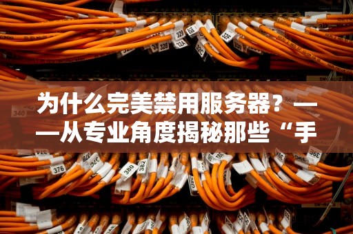为什么完美禁用服务器？——从专业角度揭秘那些“手滑”操作背后的真相！