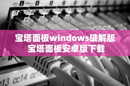 宝塔面板windows破解版 宝塔面板安卓版下载