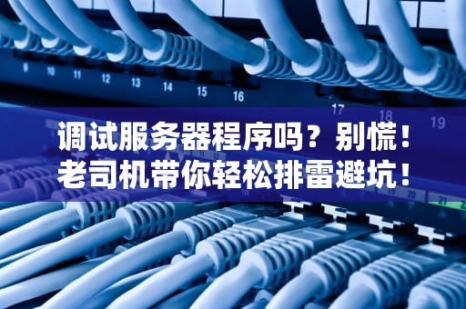 调试服务器程序吗？别慌！老司机带你轻松排雷避坑！
