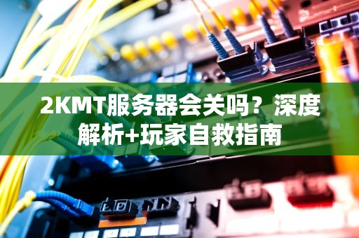 2KMT服务器会关吗？深度解析+玩家自救指南