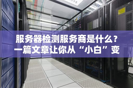 服务器检测服务商是什么？一篇文章让你从“小白”变“大神”！