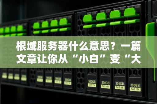 根域服务器什么意思？一篇文章让你从“小白”变“大神”！