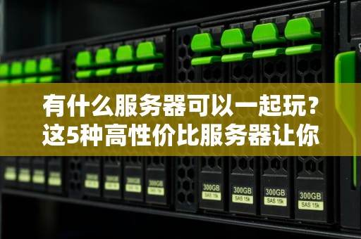 有什么服务器可以一起玩？这5种高性价比服务器让你嗨翻天！