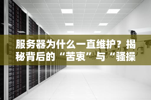 服务器为什么一直维护？揭秘背后的“苦衷”与“骚操作”