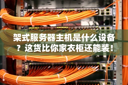 架式服务器主机是什么设备？这货比你家衣柜还能装！