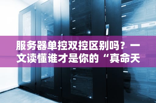 服务器单控双控区别吗？一文读懂谁才是你的“真命天子”