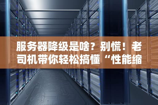服务器降级是啥？别慌！老司机带你轻松搞懂“性能缩水”那些事儿