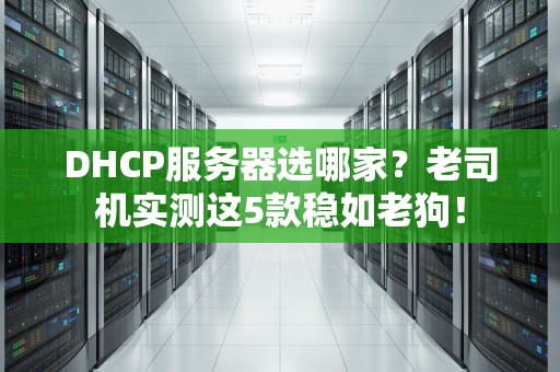 DHCP服务器选哪家？老司机实测这5款稳如老狗！
