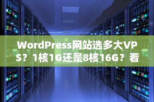 WordPress网站选多大VPS？1核1G还是8核16G？看完这篇不再交智商税！