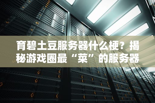 育碧土豆服务器什么梗？揭秘游戏圈最“菜”的服务器传说！