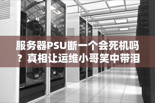 服务器PSU断一个会死机吗？真相让运维小哥笑中带泪！