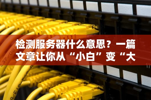 检测服务器什么意思？一篇文章让你从“小白”变“大神”！