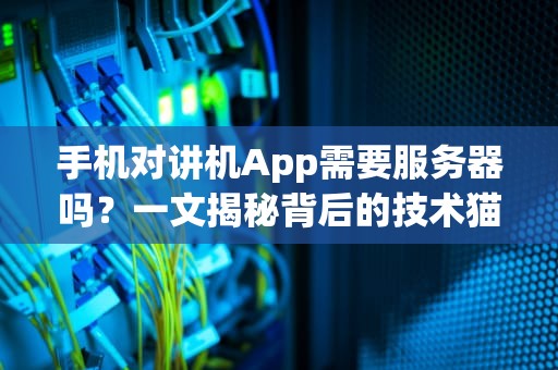 手机对讲机App需要服务器吗？一文揭秘背后的技术猫腻！