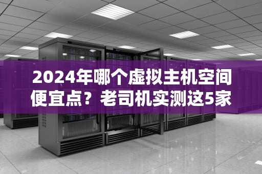 2024年哪个虚拟主机空间便宜点？老司机实测这5家真香不翻车！