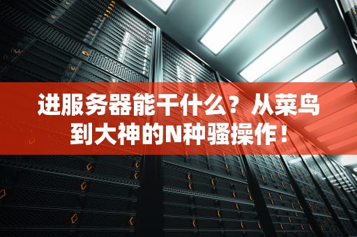 进服务器能干什么？从菜鸟到大神的N种骚操作！