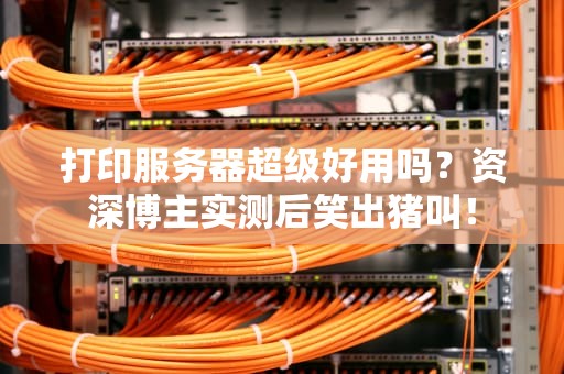 打印服务器超级好用吗？资深博主实测后笑出猪叫！