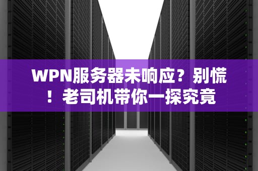 WPN服务器未响应？别慌！老司机带你一探究竟